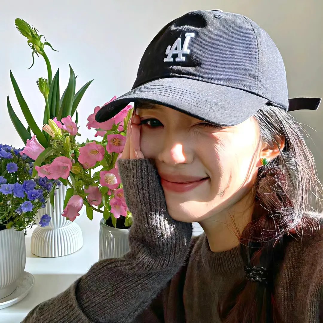 蜘蛛的策略
