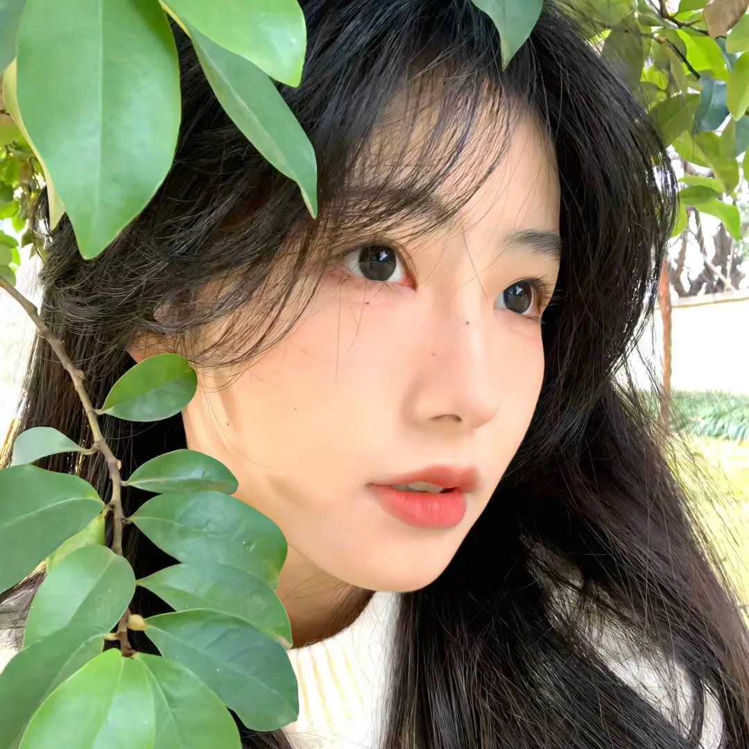 每日更新